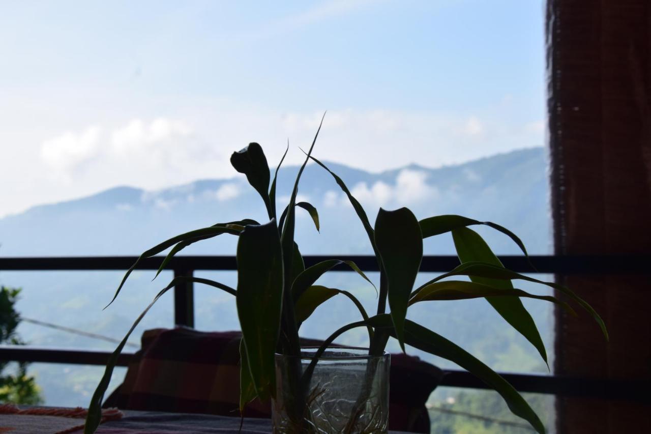Hotel Siddhartha Garden Ayurveda Pokhara Zewnętrze zdjęcie